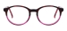 Acetate Oval Eyeglasses