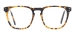 Square Acetate Spectacles - Tortoiseshell