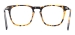 Square Acetate Spectacles - Tortoiseshell