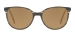 Polarized Sunglasses - Brown
