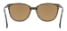 Polarized Sunglasses - Brown