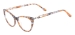 Women Acetate Cat Eye Glasses - Tortoise