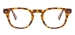 Oval Glasses - Tortoise