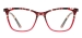 Tortoiseshell Cat Eye Spectacles