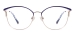 Fashion metal Prescription Eyeglasses