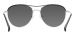 Metal Polarized Shades - Silver